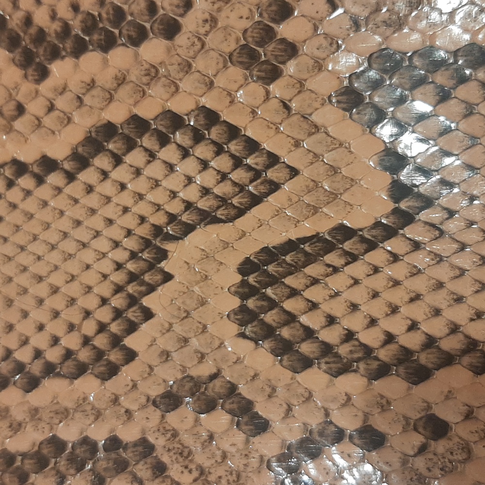Real Python bag - Picture 3 of 7